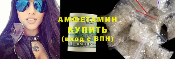 шишки Аркадак