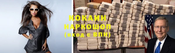 шишки Аркадак