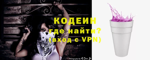 шишки Аркадак