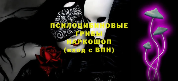 шишки Аркадак