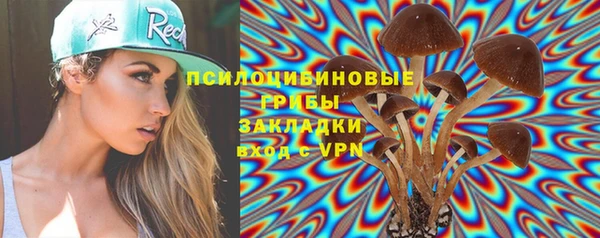 шишки Аркадак