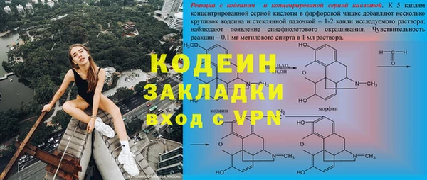 шишки Аркадак