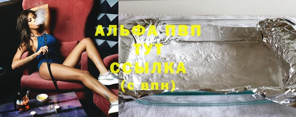 шишки Аркадак