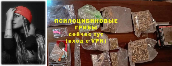 шишки Аркадак
