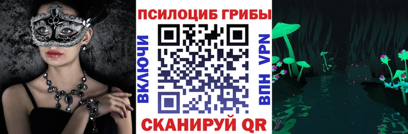 это как зайти  Спас-Клепики  Галлюциногенные грибы Psilocybine cubensis 